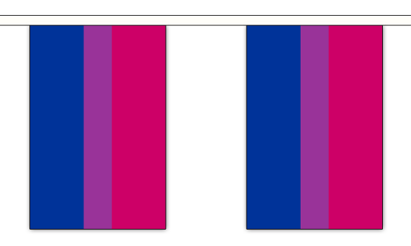 Bi-Pride Bunting